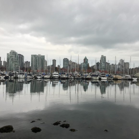 Meet your Posher, Caryssa - Picture 1 of 1